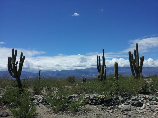 catamarca_susanaparejas